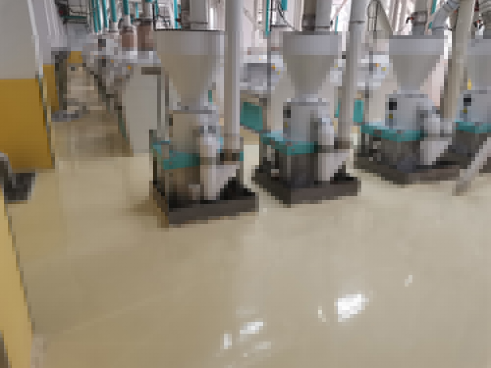 益海嘉里（金龍魚）